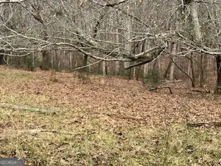 0 Julius Bridge Road, Ball Ground, GA 30107 - Image #2