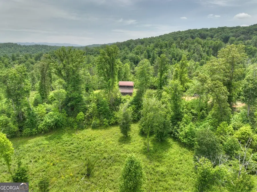 LOT 13 Hidden Acres #13, Blue Ridge, GA 30513 - Image #3