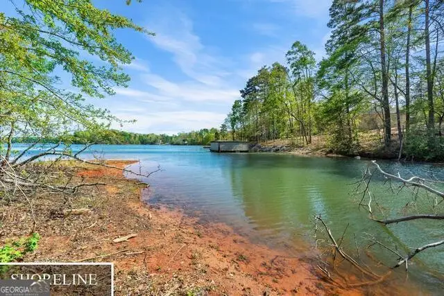 TRACT 2 Deans Point, Martin, GA 30557 - Image #2