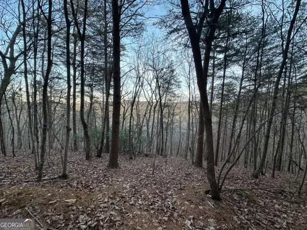 810 Bagwell Trail, Waleska, GA 30183