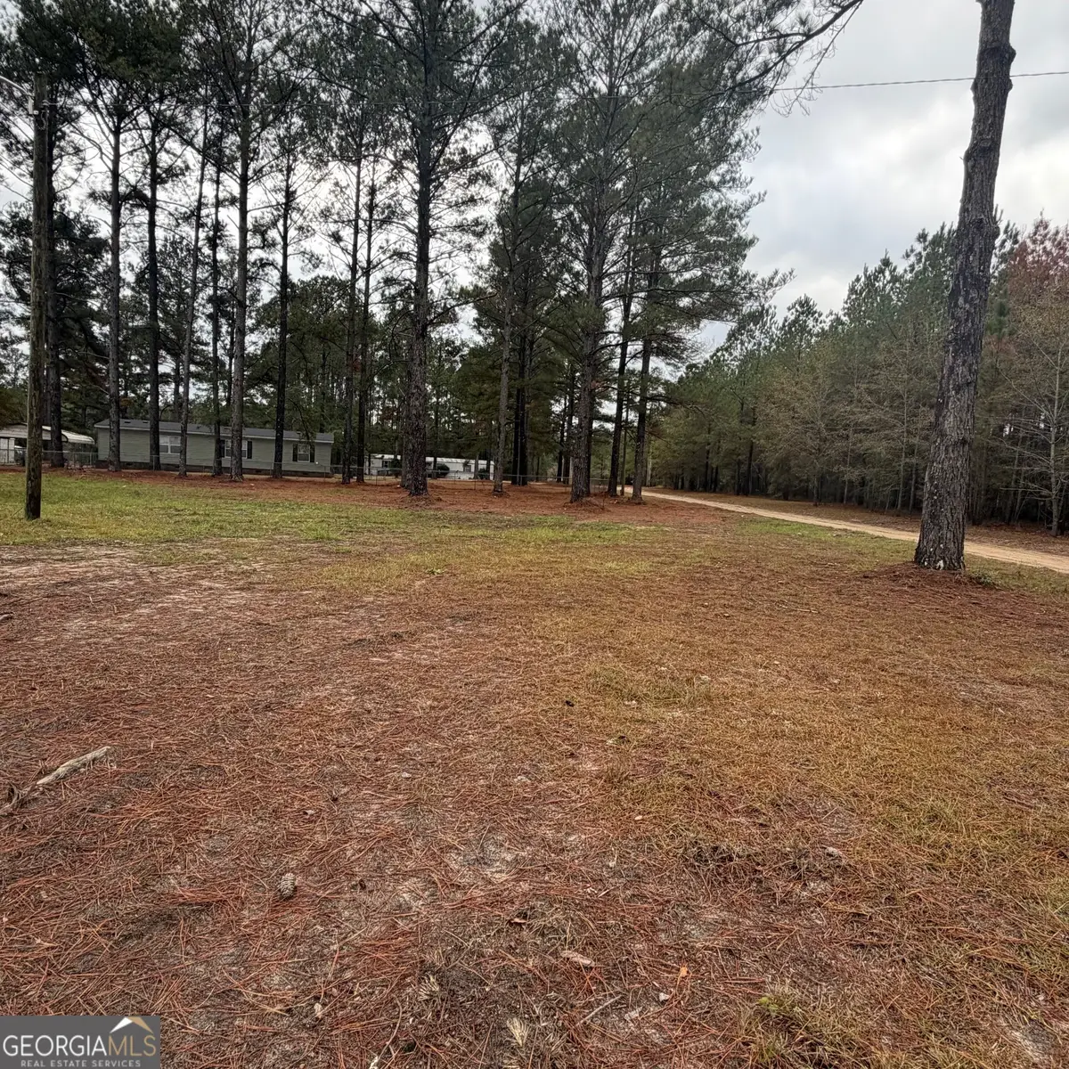 0 Hulsey Drive, Metter, GA 30439 - Image #1
