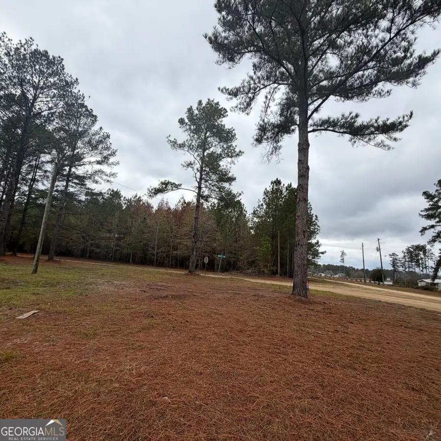 0 Hulsey Drive, Metter, GA 30439 - Image #2