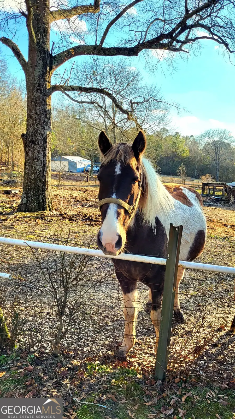 2070 Kingston Hwy, Rome, GA 30161 - Image #3