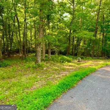 LOT 19 Brasstown Trails, Warne, NC 28909 - Image #1