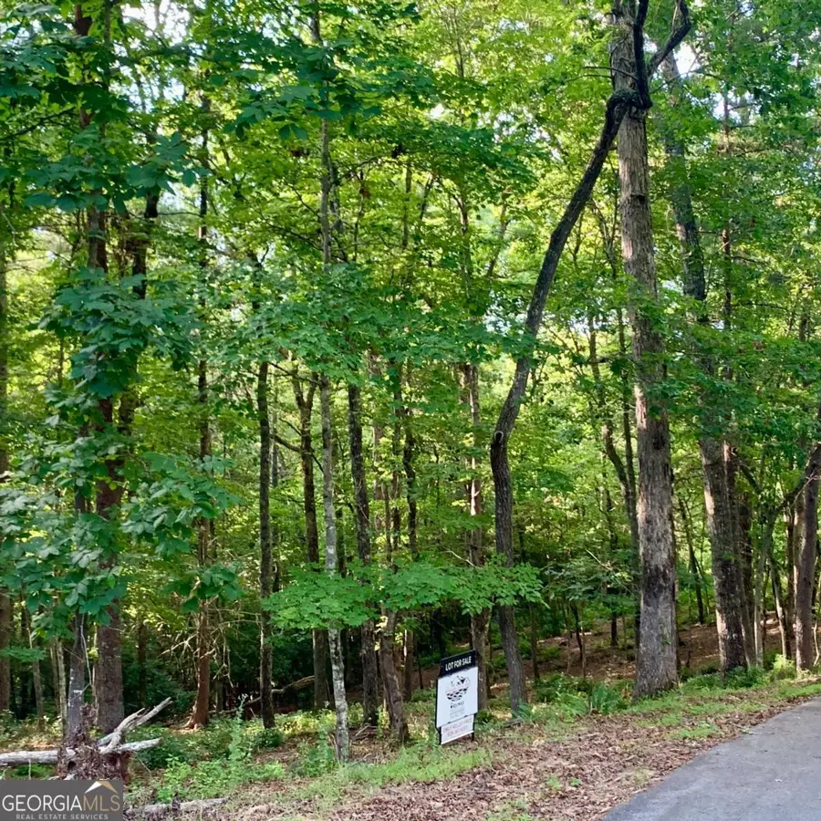 LOT 19 Brasstown Trails, Warne, NC 28909 - Image #3