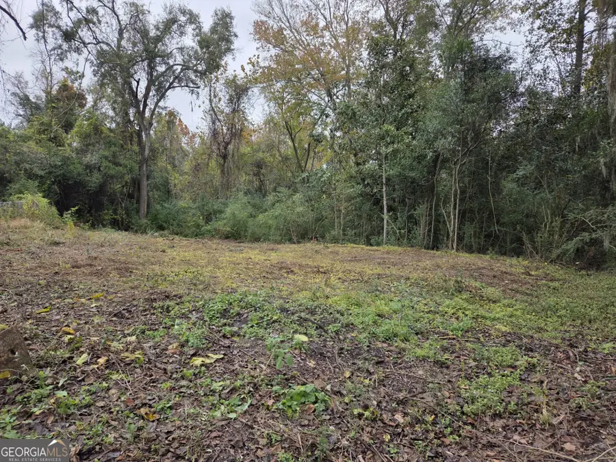 0 Mosley Street, Savannah, GA 31404 - Image #3