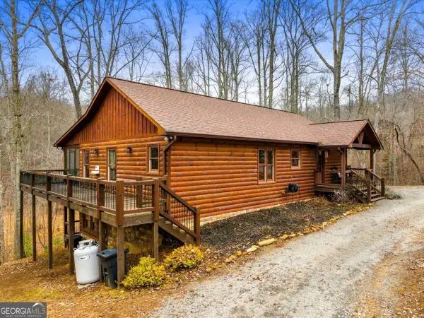 170 Ross Drive, Mineral Bluff, GA 30559