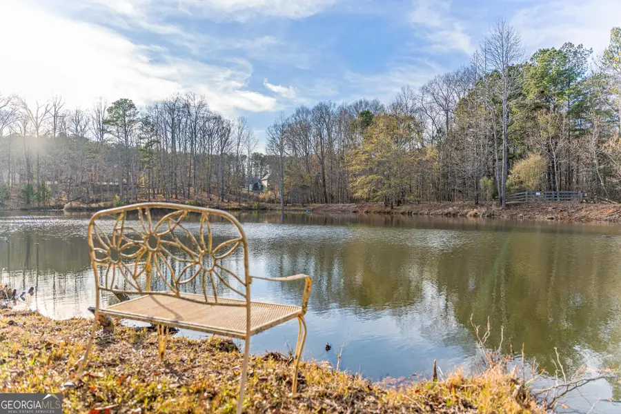 117 Martins Pond Road, Newnan, GA 30263 - Image #3