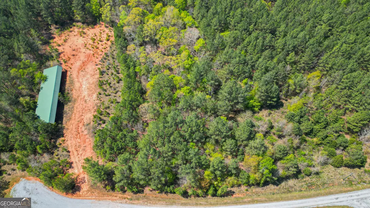 0 Long Pine Lane, Elberton, GA 30635 - Image #1