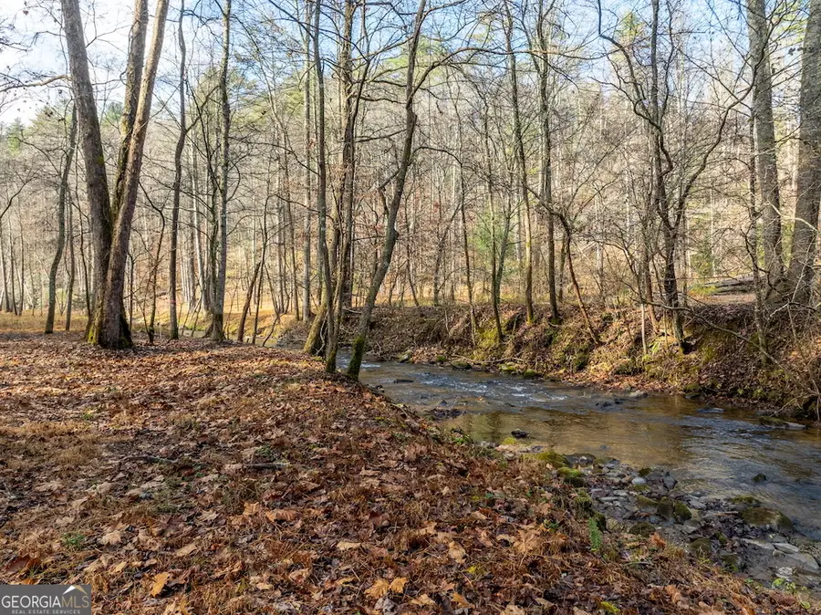 894 Hap Holt Road, Ellijay, GA 30540 - Image #3