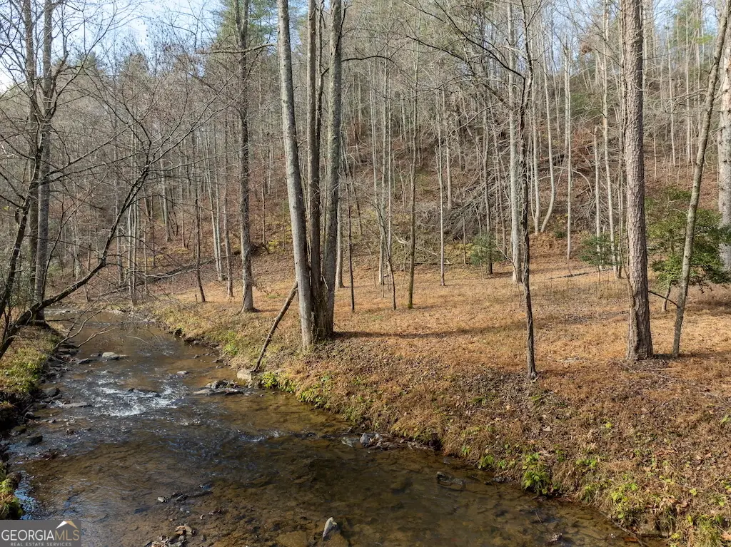 780 Banks Road, Ellijay, GA 30540 - Image #1
