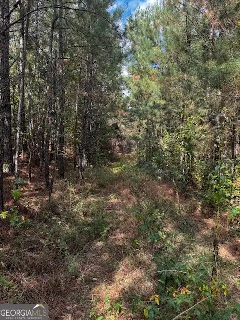 230 Dodgen Road, Hampton, GA 30228 - #2