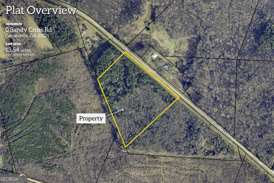 0 Sandy Cross Road, Carnesville, GA 30521 - Image #2