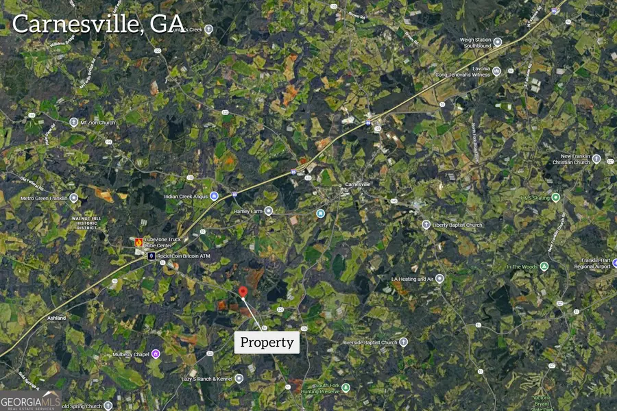0 Sandy Cross Road, Carnesville, GA 30521 - Image #3