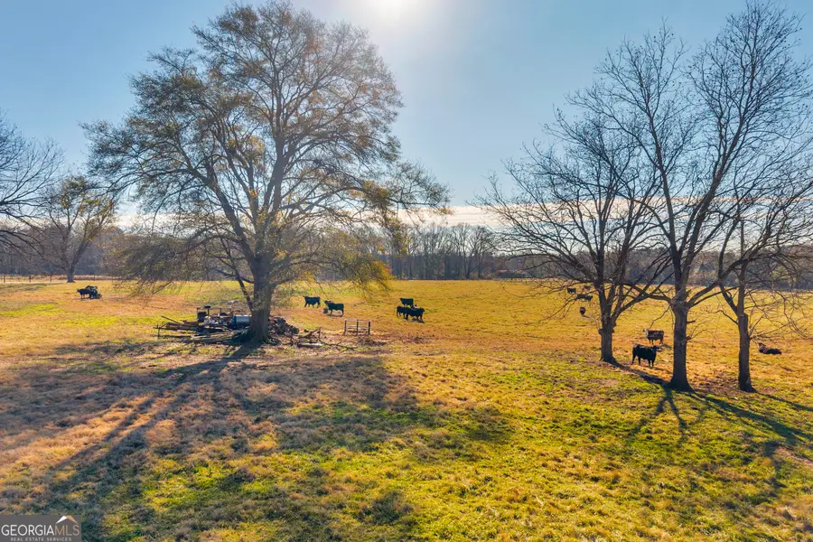 1191 Plain View Road, Carnesville, GA 30521 - Image #3