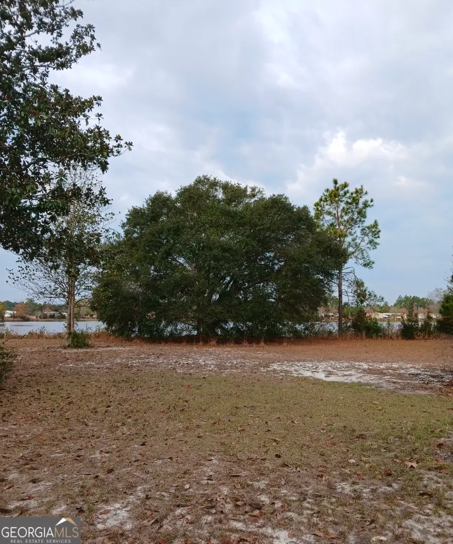 1654 (LOT 44) Spring Lake Drive #44, Folkston, GA 31537 - Image #3