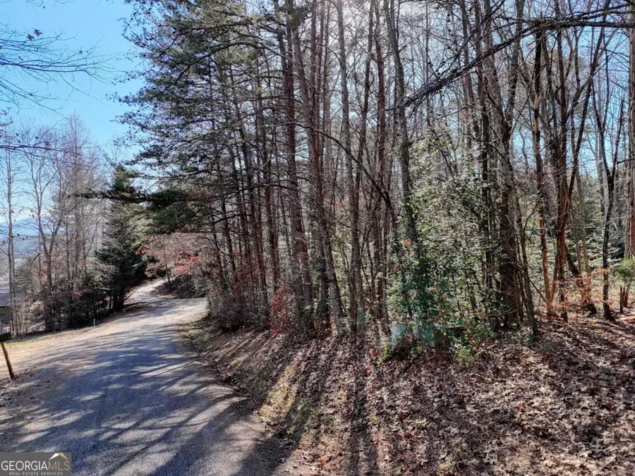 LOT 5 Tombstone Drive #5, Blairsville, GA 30512 - Image #2