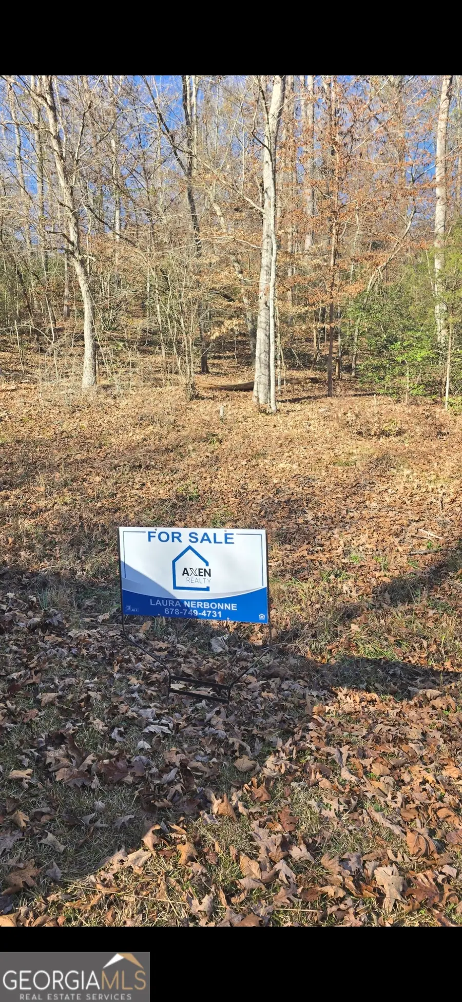 1141 Skipstone Drive, Watkinsville, GA 30677 - Image #3