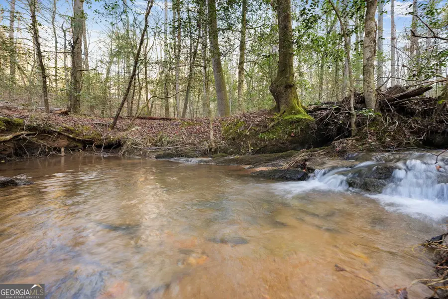 4541 Cavender Creek Road, Dahlonega, GA 30533 - Image #2