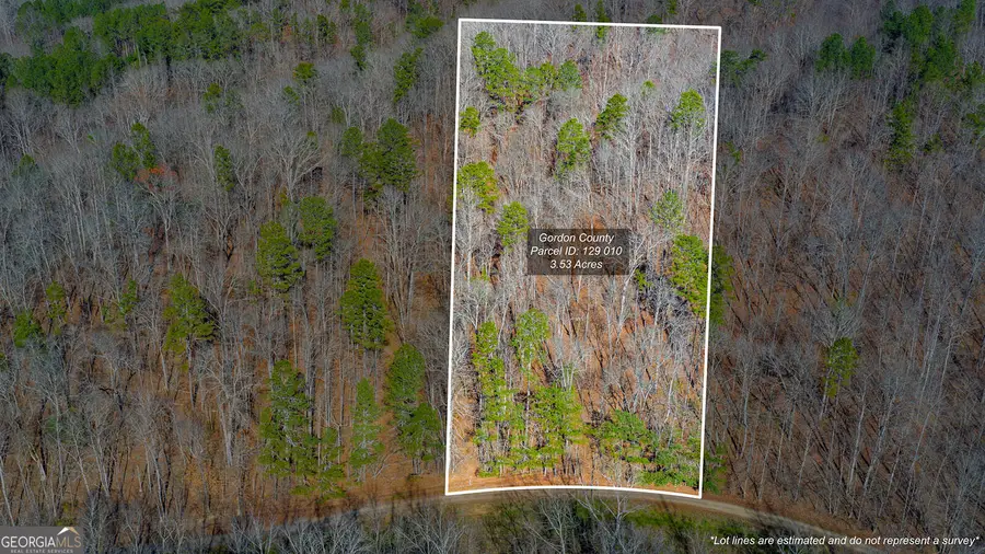 0 Rambling Road, Talking Rock, GA 30175 - Image #2