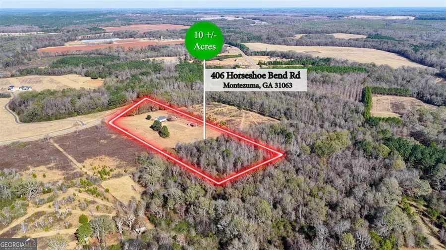 406 Horseshoe Bend Road, Montezuma, GA 31063 - Image #2