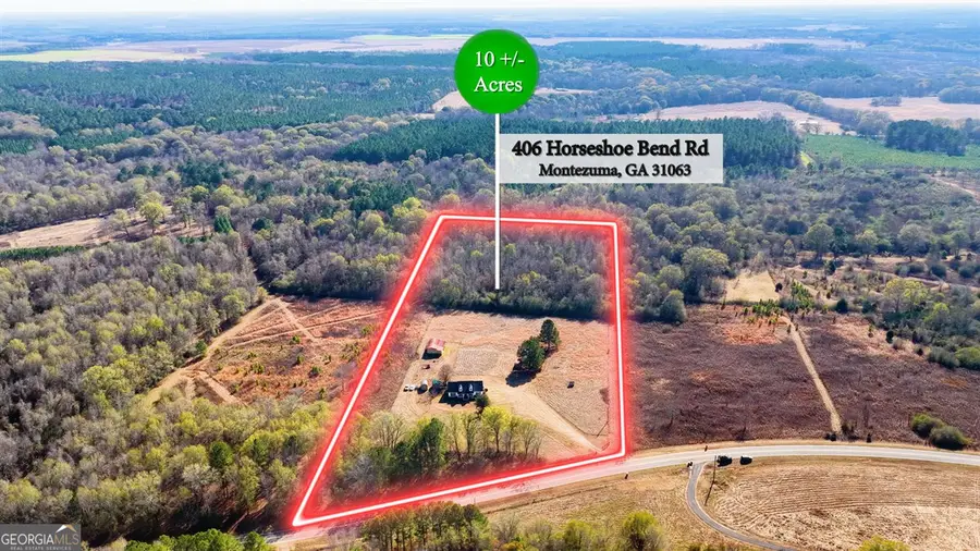 406 Horseshoe Bend Road, Montezuma, GA 31063 - Image #3