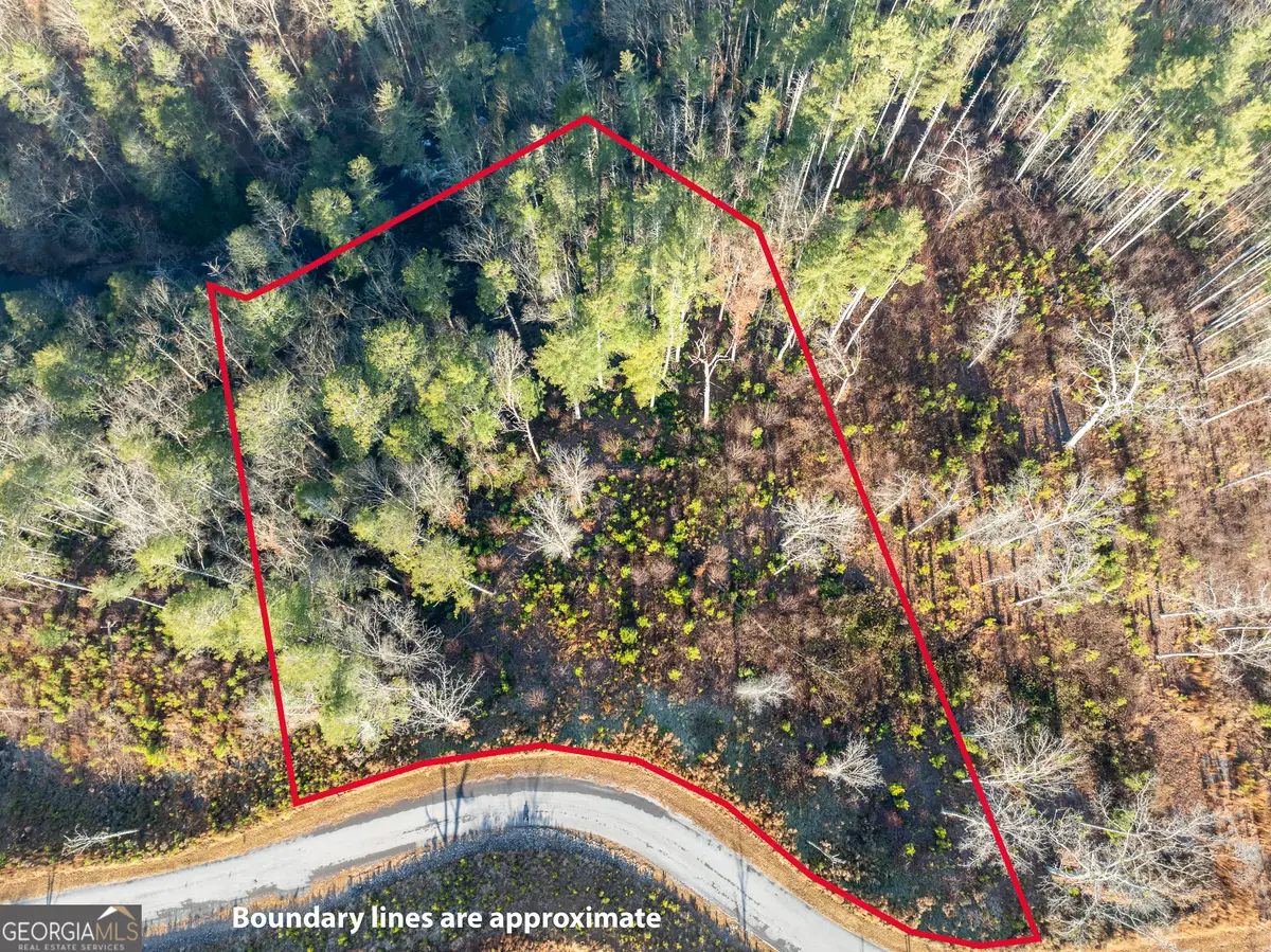 LT 243 High River Crossing, Ellijay, GA 30540 - Image #1