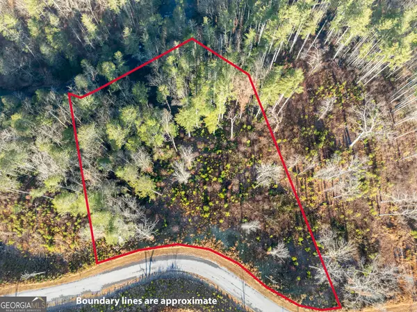 LT 243 High River Crossing, Ellijay, GA 30540