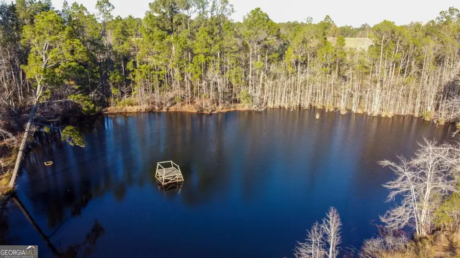 481 Clifford Purvis Road, Collins, GA 30421 - Image #3
