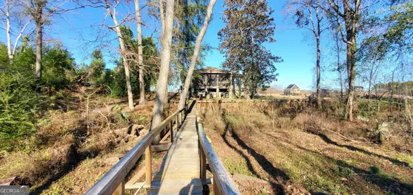 147 Brannen Landing Road, Midville, GA 30441