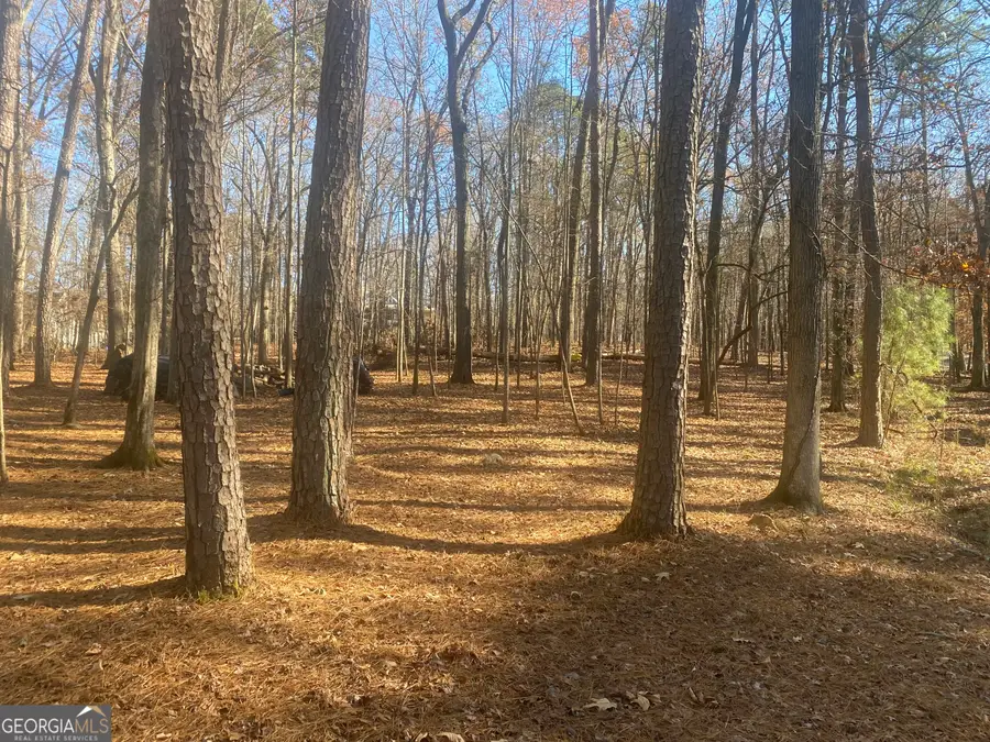 3353 Galts Road, Acworth, GA 30102 - Image #3