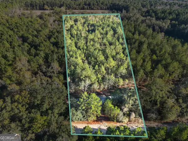 0 Beautiful Zion Cemetary Road, Pembroke, GA 31321