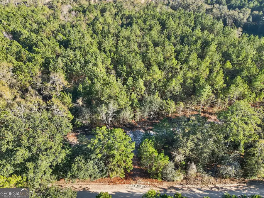 0 Beautiful Zion Cemetary Road, Pembroke, GA 31321 - Image #3