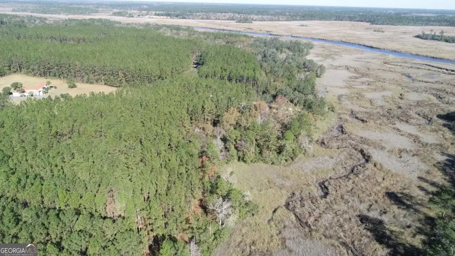 LOT 14 Waverly Lane, White Oak, GA 31568 - Image #3