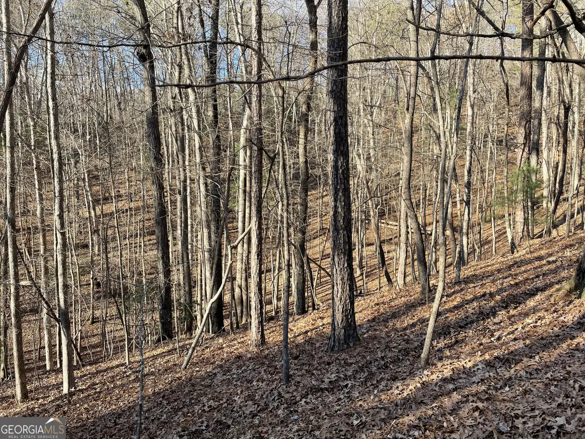 2458 Montage Drive #2458, Ellijay, GA 30540 - #1