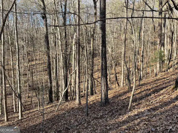 2458 Montage Drive #2458, Ellijay, GA 30540