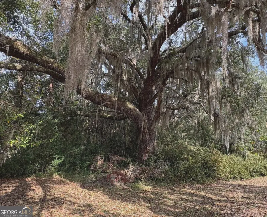 11817 Ga Highway 99, Darien, GA 31305 - Image #3