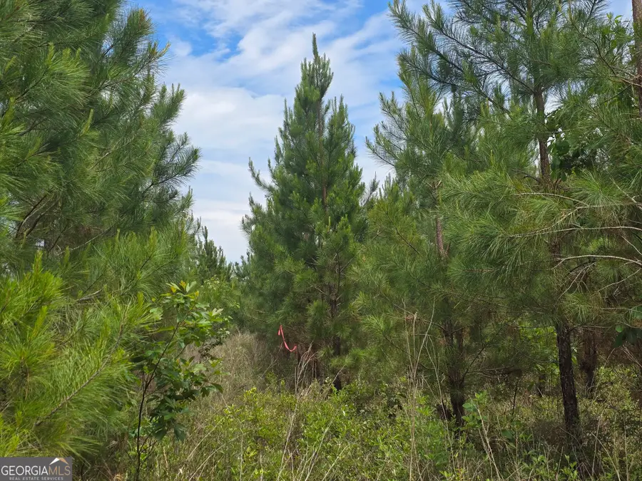 25 Marvin Murphy Road, Ellaville, GA 31806 - Image #2