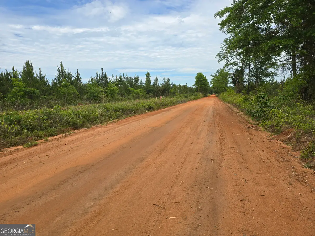 034 Beckwith Road, Ellaville, GA 31806 - Image #1