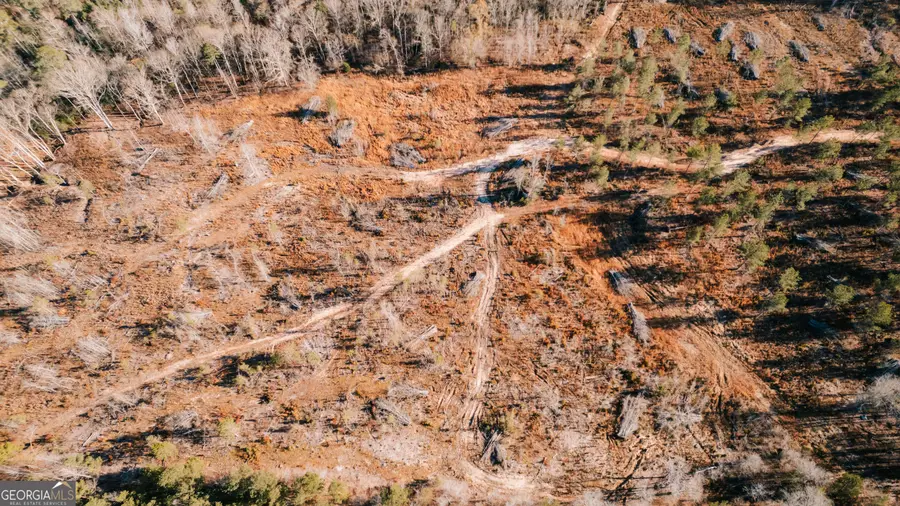 0 Washington Road, Lexington, GA 30648 - Image #2