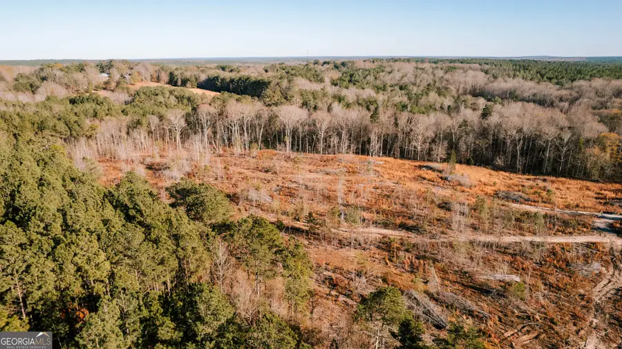 0 Washington Road, Lexington, GA 30648 - Image #3