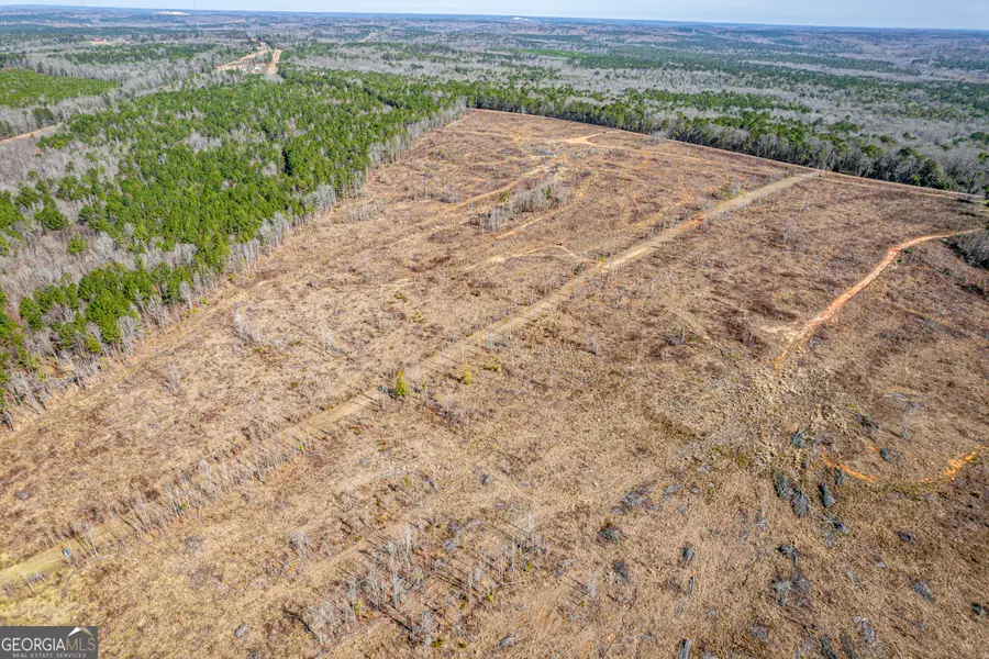 869 Marion Ripley Road, Dry Branch, GA 31020 - Image #2