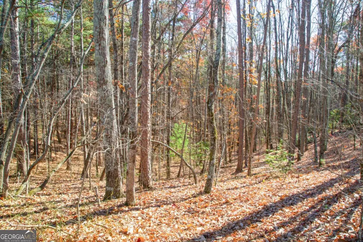 119 Waldrip Drive, Dawsonville, GA 30534 - Image #1