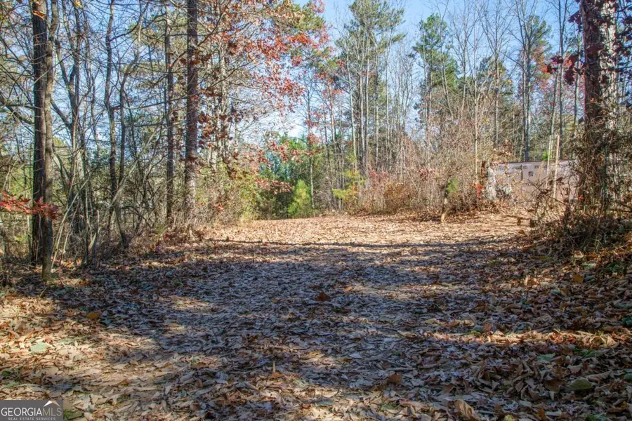 119 Waldrip Drive, Dawsonville, GA 30534 - Image #3