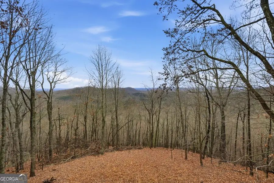 1220 Walnut Ridge, Ellijay, GA 30536 - Image #3
