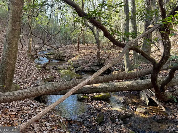 125 Patriot View Drive, Dahlonega, GA 30533