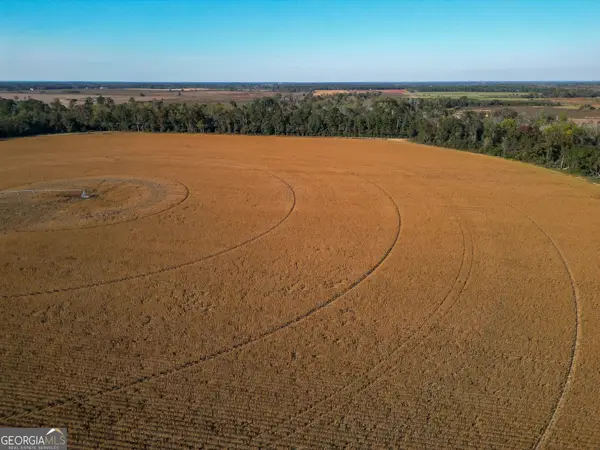 0 Buck Road, Morgan, GA 39866