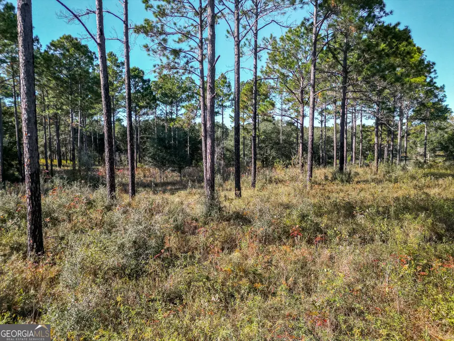 0 New York Road, Leesburg, GA 31763 - Image #3