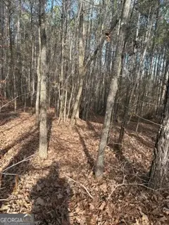 0 Hillview Road, Hampton, GA 30228 - Image #2