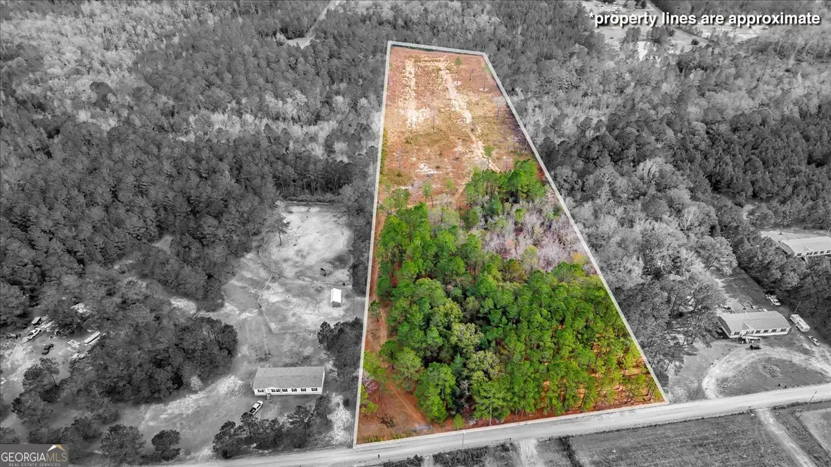 720 NE S T Morris Road, Ludowici, GA 31316 - Image #1